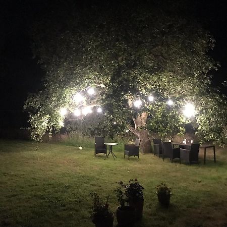 Redbrook Farm Bnb - Gateway To The New Forest ฟอร์ดิงบริดจ์ ภายนอก รูปภาพ
