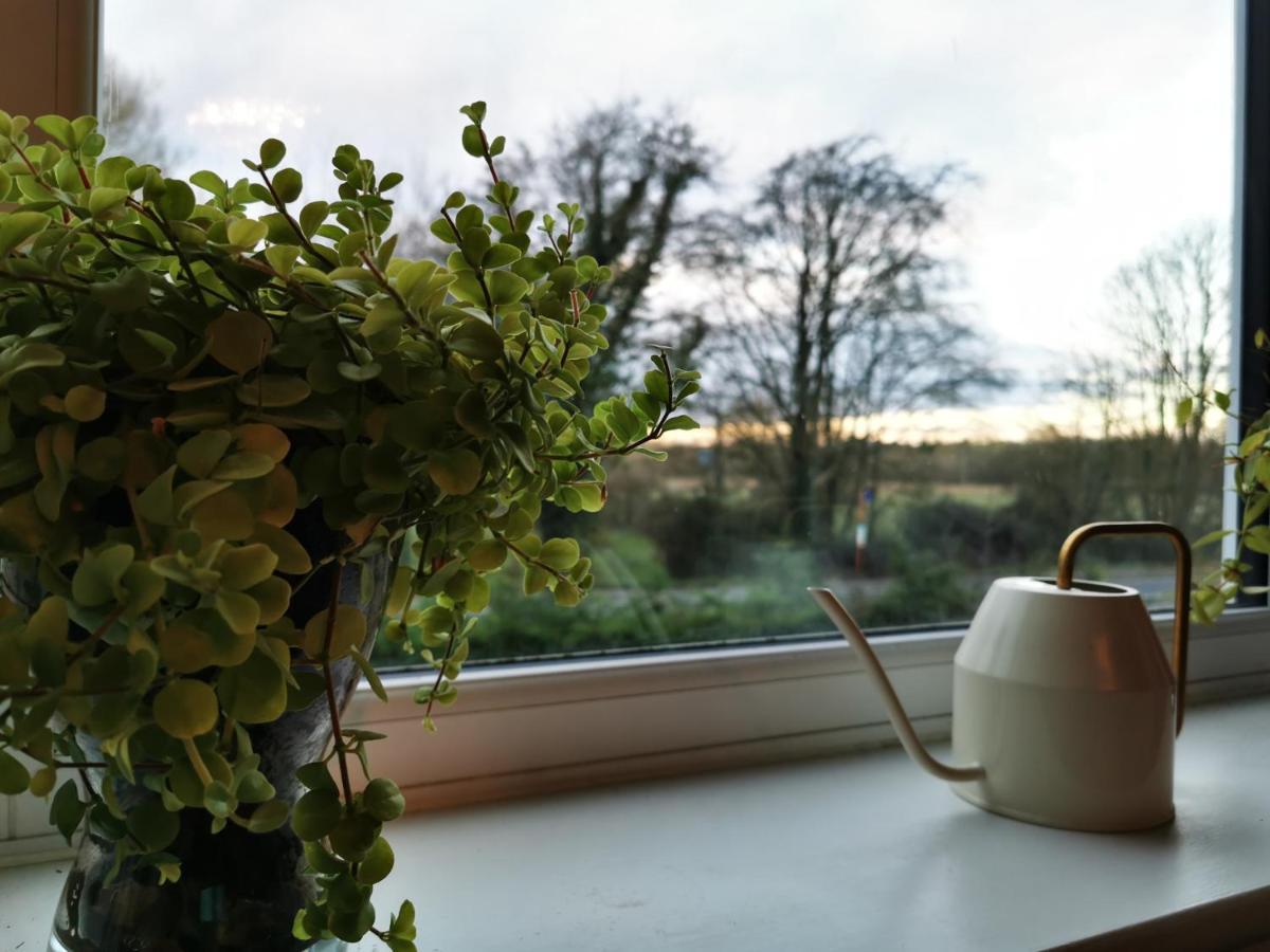 Redbrook Farm Bnb - Gateway To The New Forest ฟอร์ดิงบริดจ์ ภายนอก รูปภาพ