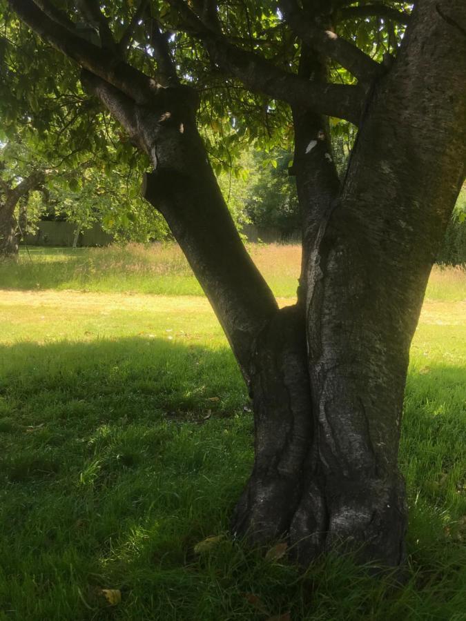 Redbrook Farm Bnb - Gateway To The New Forest ฟอร์ดิงบริดจ์ ภายนอก รูปภาพ
