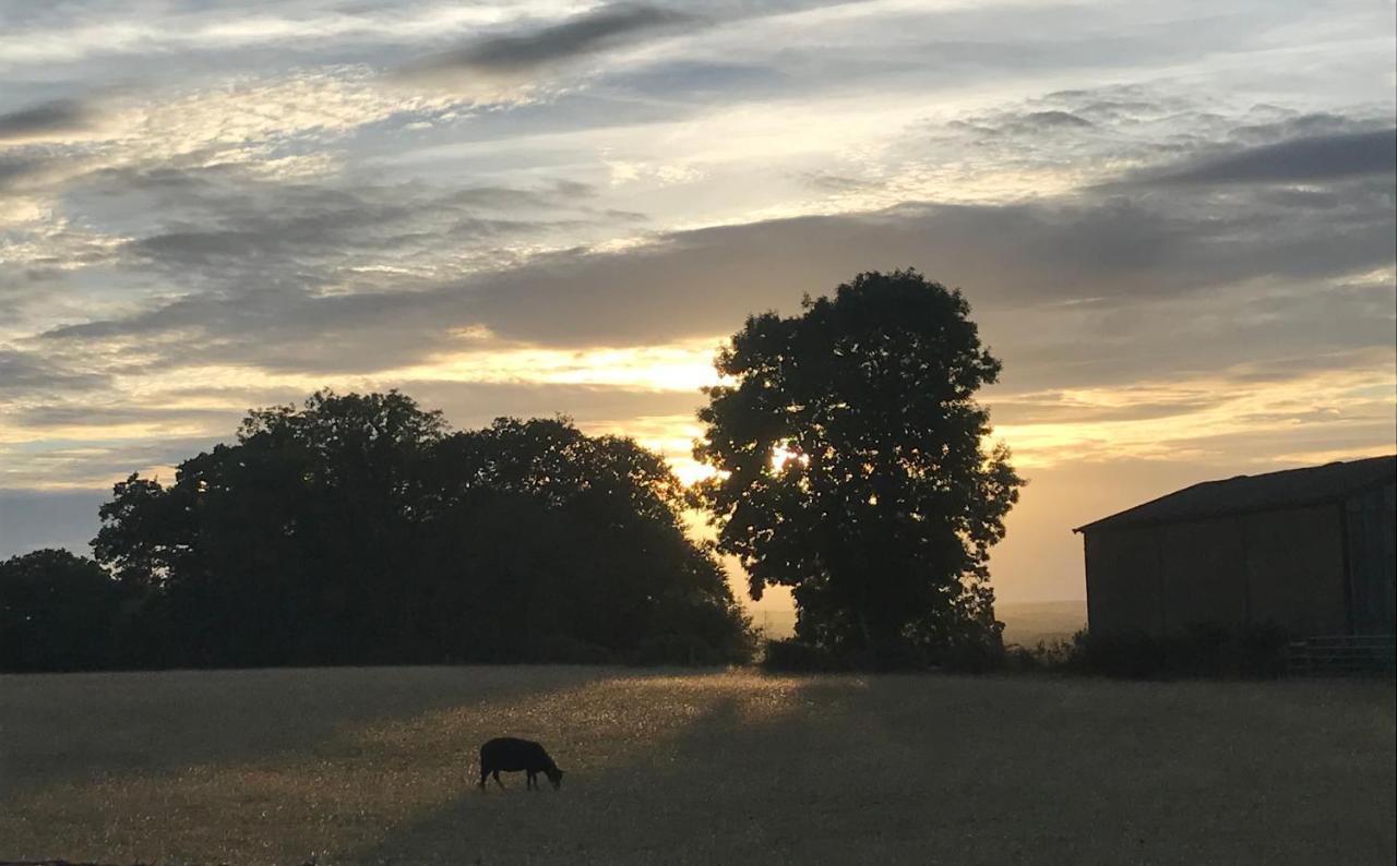 Redbrook Farm Bnb - Gateway To The New Forest ฟอร์ดิงบริดจ์ ภายนอก รูปภาพ