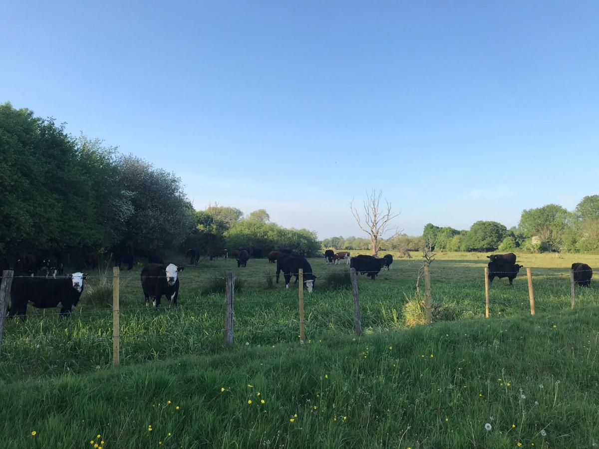 Redbrook Farm Bnb - Gateway To The New Forest ฟอร์ดิงบริดจ์ ภายนอก รูปภาพ