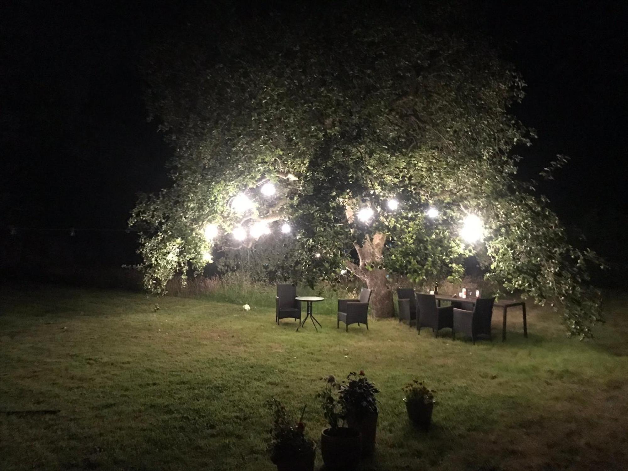 Redbrook Farm Bnb - Gateway To The New Forest ฟอร์ดิงบริดจ์ ภายนอก รูปภาพ