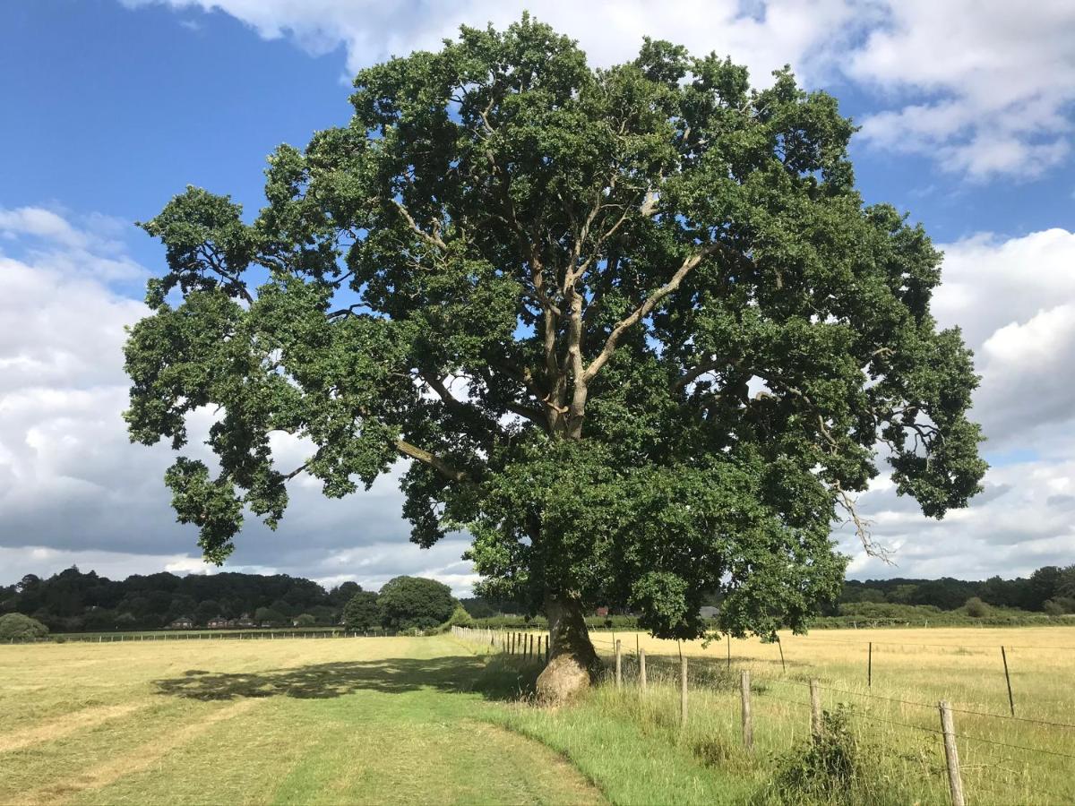 Redbrook Farm Bnb - Gateway To The New Forest ฟอร์ดิงบริดจ์ ภายนอก รูปภาพ