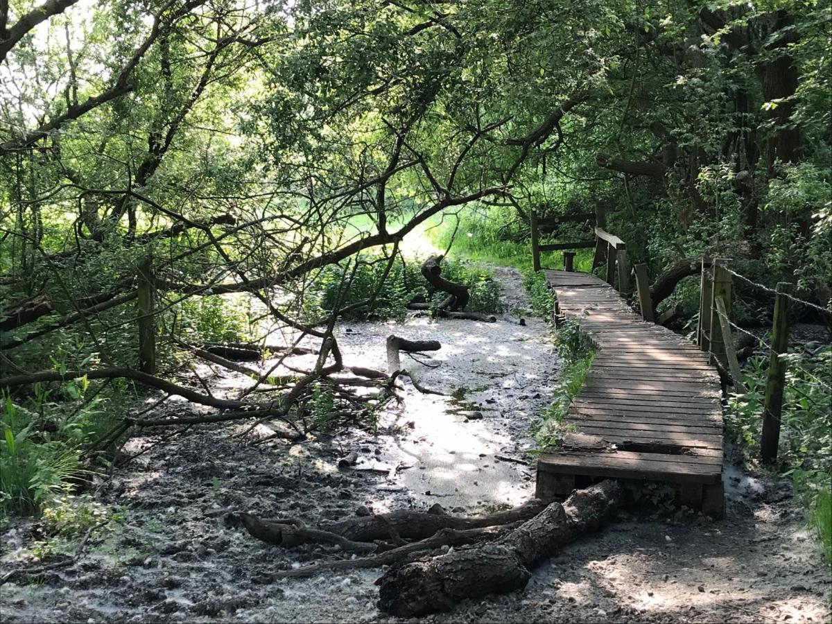 Redbrook Farm Bnb - Gateway To The New Forest ฟอร์ดิงบริดจ์ ภายนอก รูปภาพ