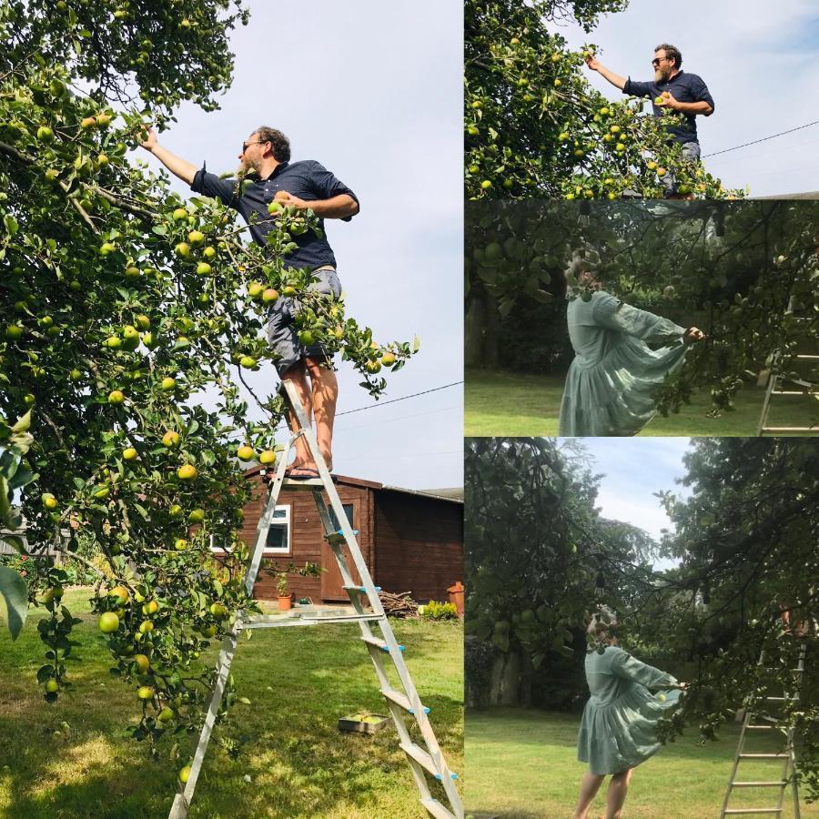Redbrook Farm Bnb - Gateway To The New Forest ฟอร์ดิงบริดจ์ ภายนอก รูปภาพ
