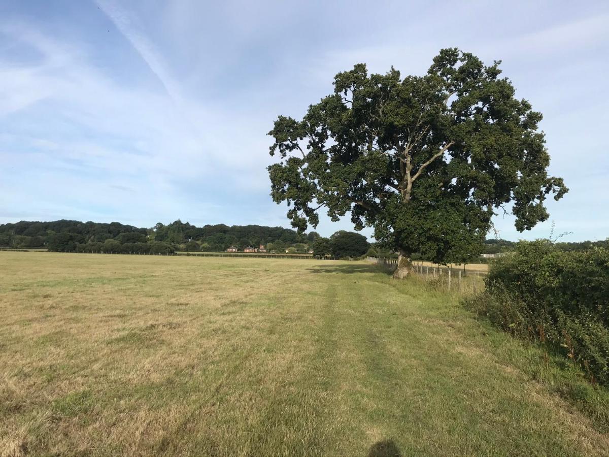 Redbrook Farm Bnb - Gateway To The New Forest ฟอร์ดิงบริดจ์ ภายนอก รูปภาพ