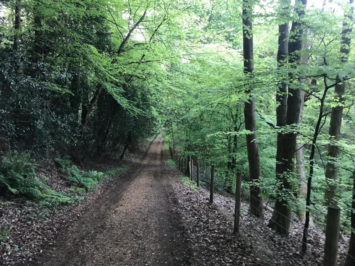 Redbrook Farm Bnb - Gateway To The New Forest ฟอร์ดิงบริดจ์ ภายนอก รูปภาพ