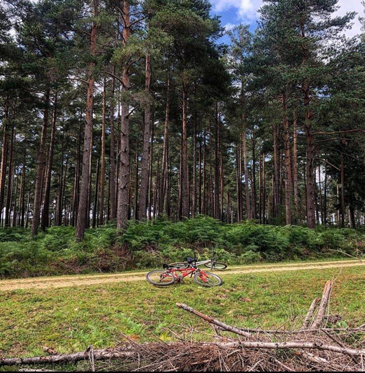Redbrook Farm Bnb - Gateway To The New Forest ฟอร์ดิงบริดจ์ ภายนอก รูปภาพ