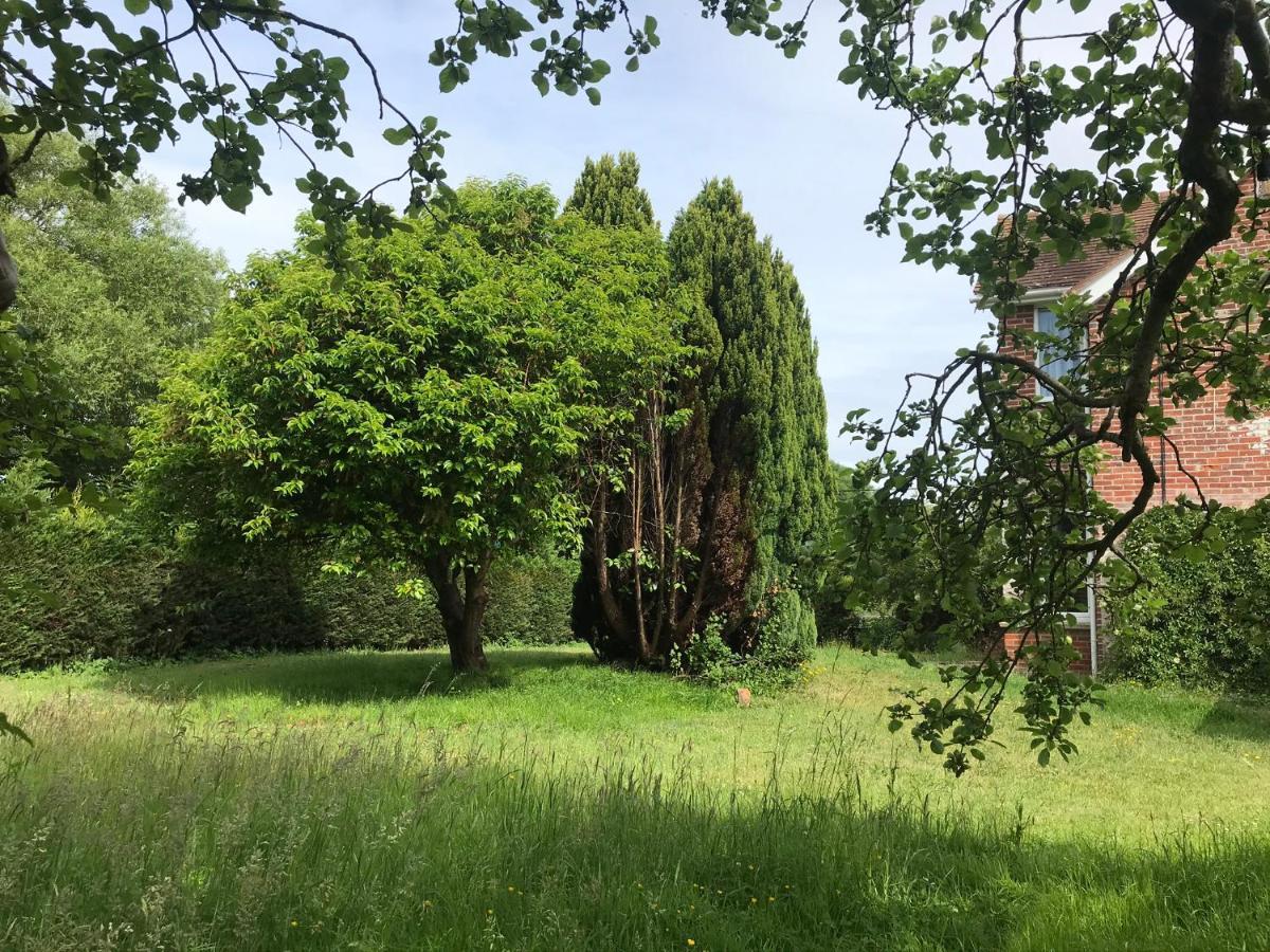 Redbrook Farm Bnb - Gateway To The New Forest ฟอร์ดิงบริดจ์ ภายนอก รูปภาพ